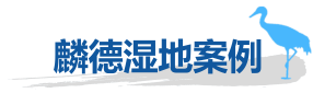 麟德濕地案例