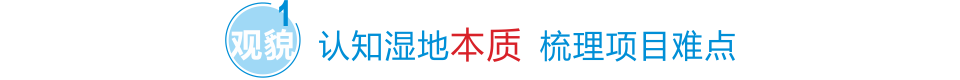 認(rèn)知濕地本質(zhì) 梳理項目難點